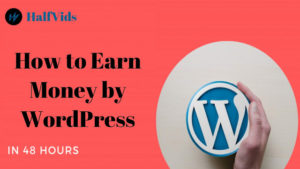 Read more about the article How to Earn Money by WordPress in 48 hours