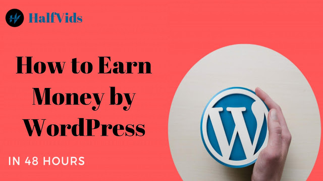 Read more about the article How to Earn Money by WordPress in 48 hours